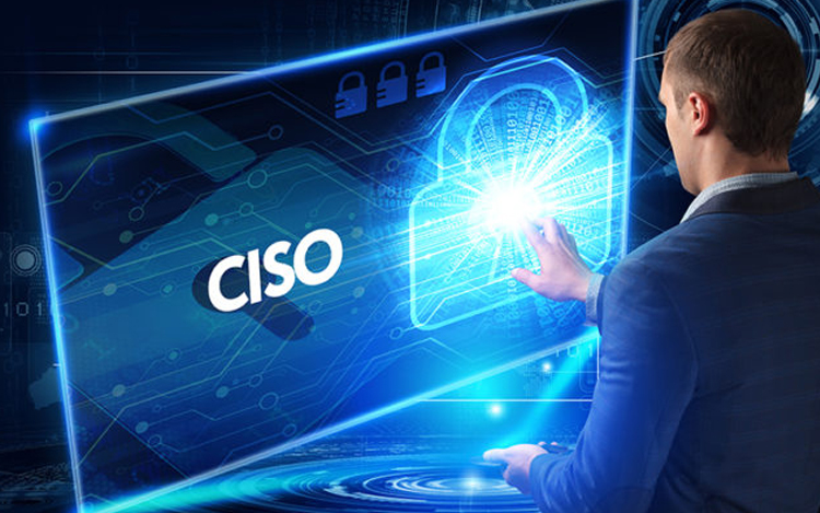 Virtual CISO Service